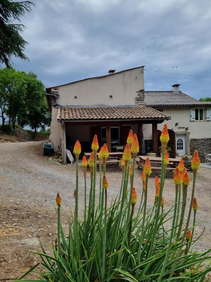 L'Oeil De Carcassonne Villa Caudebronde Kültér fotó